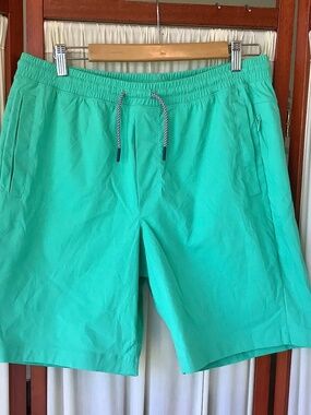 Birddogs Men’s Classic Swim Trunks‎ Sea Green Lined Size XL